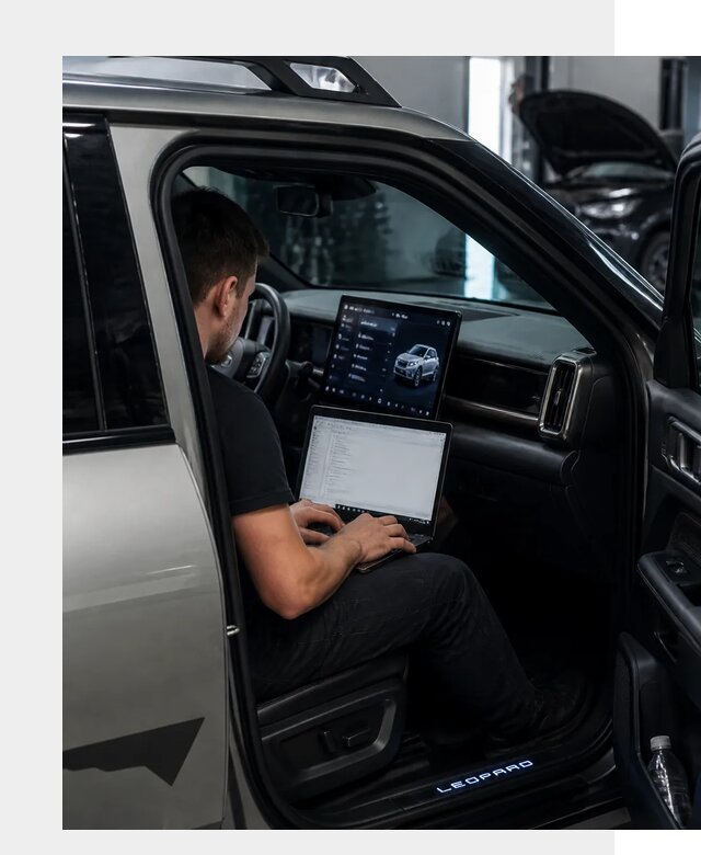 Русификация BYD Leopard 3 в Скопине по цене от 20738 р. | ФастМобиль-Скп
