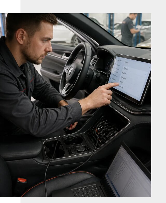 Профессиональная русификация BYD SONG Plus в Скопине